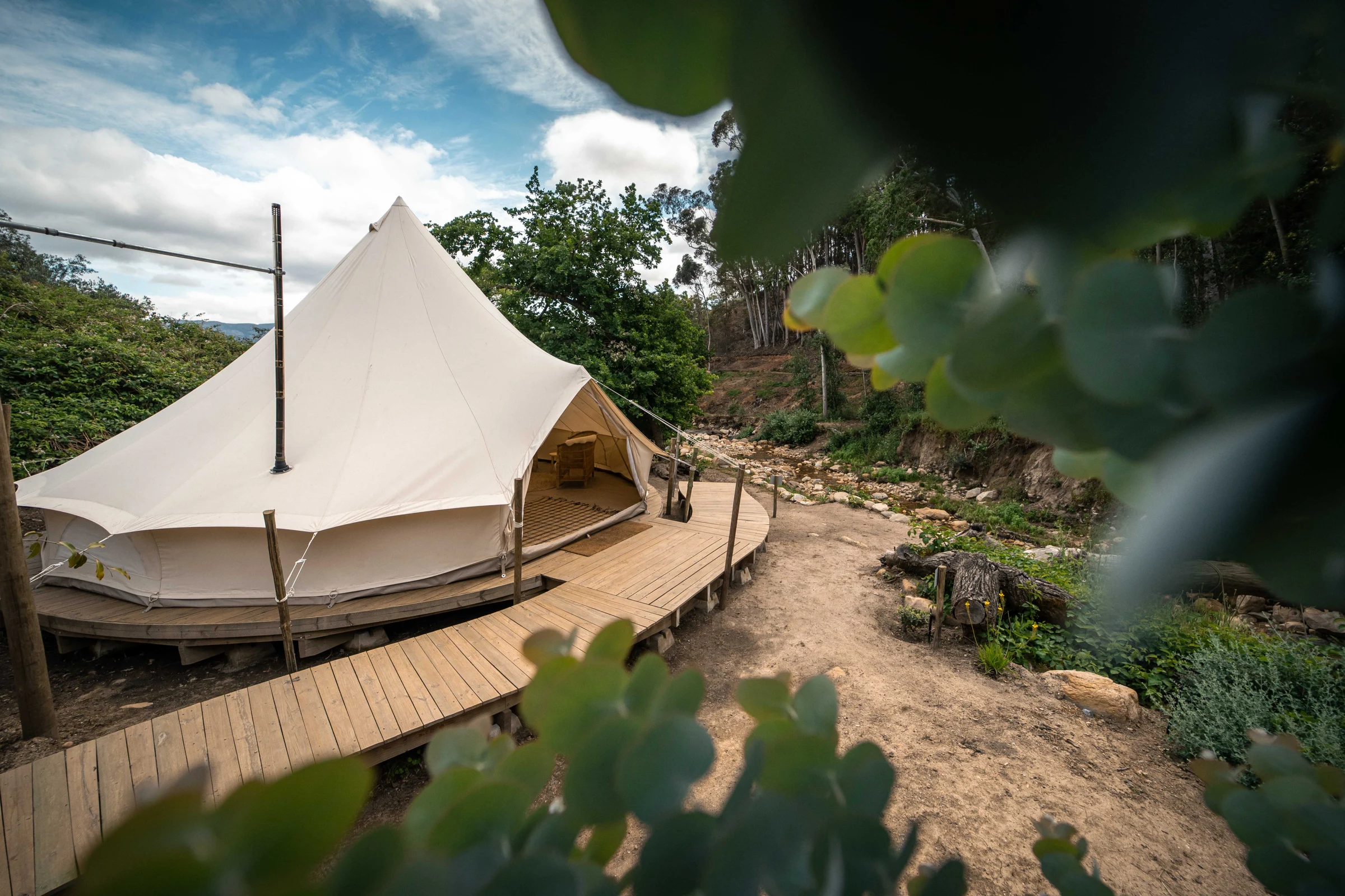 Bell tent on a curved timber deck beneath the trees